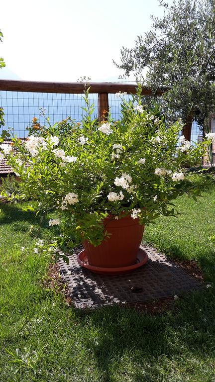 Agriturismo Botton D'Oro Dongo Luaran gambar