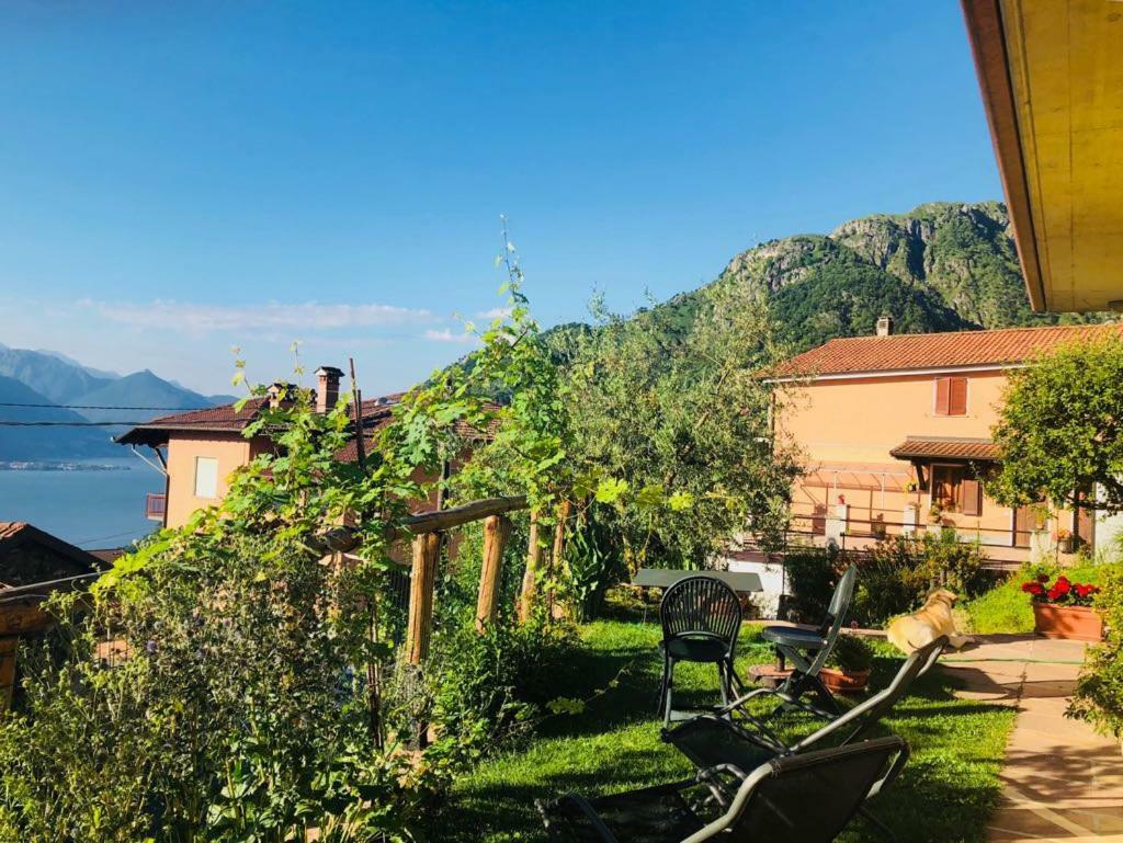 Agriturismo Botton D'Oro Dongo Luaran gambar